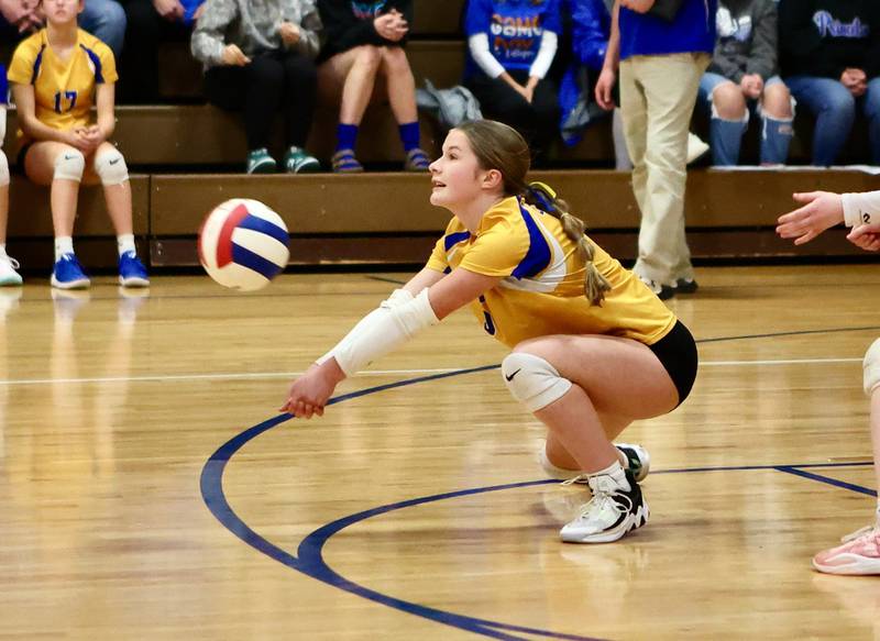Princeton Logan's Collyns Etheridge makes a pass in Monday's Class 3A 8th grade sectional finals at Pannebaker Gym. The Lions fell in three sets to Morris Saratoga.