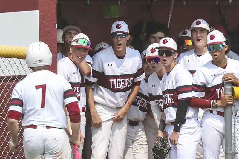 Plainfield North's Gavin Person (7) is greeted by teammates after scoring a run during Class 4A Plainfield North Regional final baseball game between Oswego at Plainfield North. Saturday, May 31, 2025 in Plainfield.