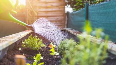 Artisan market, Master Gardeners series coming to DeKalb County