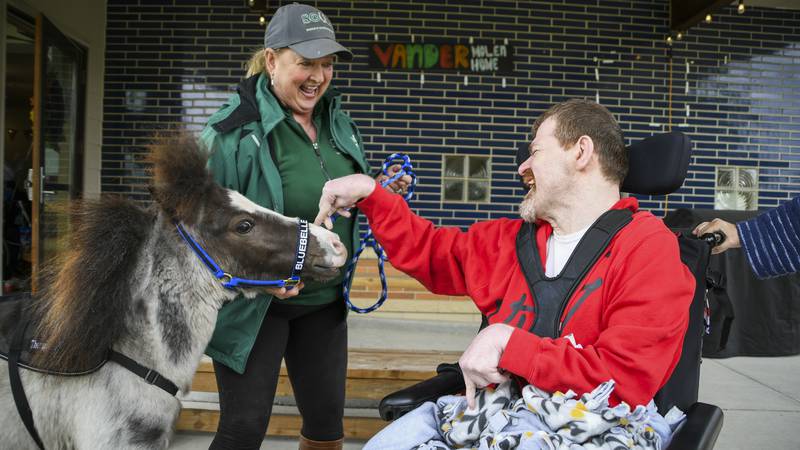 Therapy dogs and mini horses bring hope, healing and smiles across Fox Valley