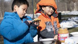 Photos: A sunny, warm Polarpalooza in DeKalb