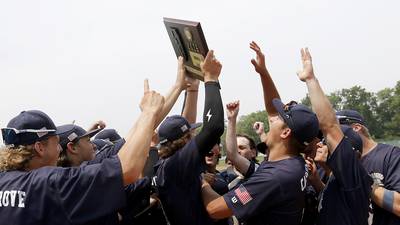 Photos: Crystal Lake South vs. Cary-Grove, Class 3A Grayslake Central Sectional Championship  baseball