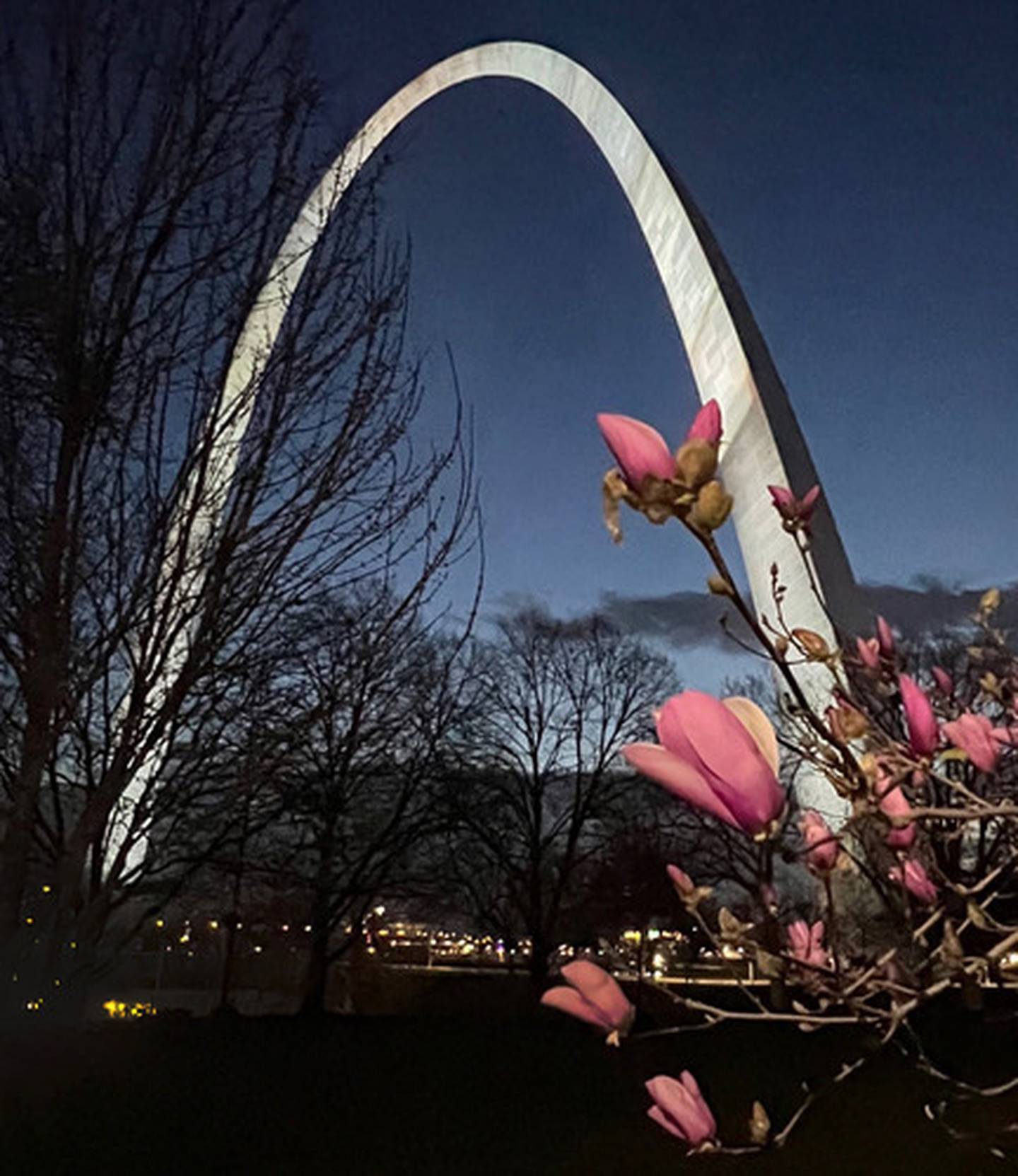 Gateway Arch National Park is located along the Mississippi River in St. Louis, Missouri.
