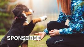 Spring Into Training: Helping Your Dog Thrive After a Long Winter