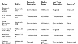 How did my DuPage County school do on the 2024 Illinois School Report Card?