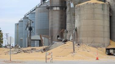 Photos: Grain bin collapses in Martinton