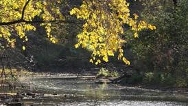 DeCarbon Dialogue series set for March 10 in DeKalb