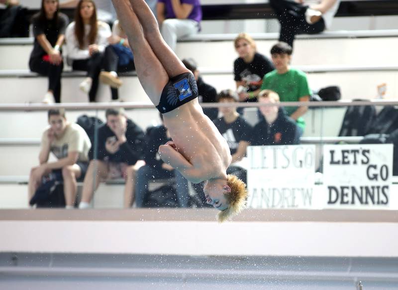 Lincoln-Way East’s Nate Jackson competes in the diving portion of the IHSA Boys State Championships on Saturday, March 1, 2025 at the FMC Natatorium in Westmont.