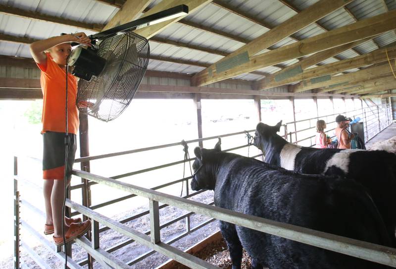 Carter Keller of McNabb aims a fan at his cows to cool them off during the 102nd Marshall-Putnam Fair on Thursday, July 13, 2023 in Henry.