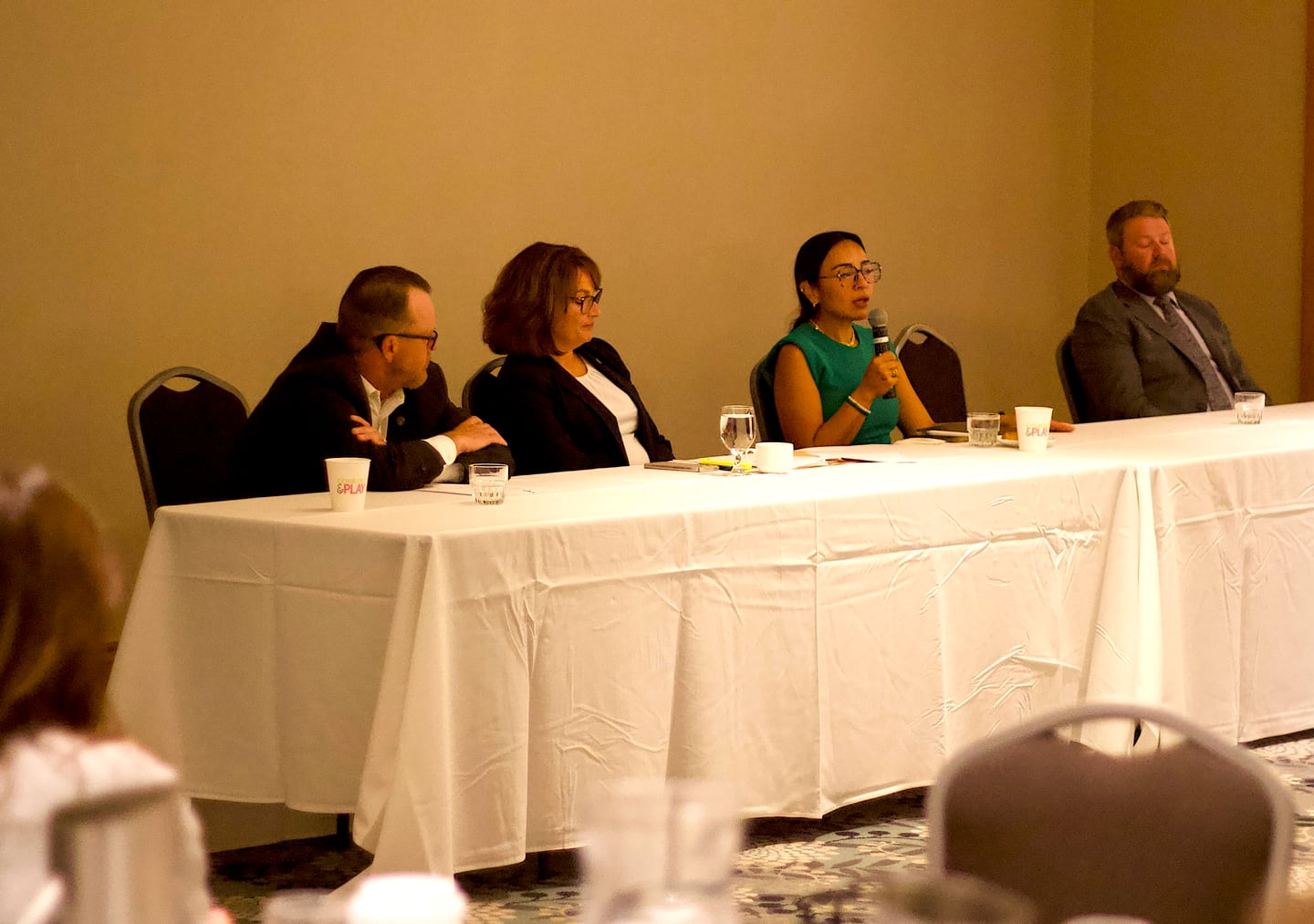 Four state lawmakers in Will County on Wednesday, June 25, 2025, at Harrah's Casino in Joliet. The Joliet Region Chamber of Commerce Industry hosted an event the lawmakers addressed several topics, including the state budget.