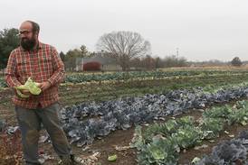State grants allow small Illinois farmers to develop local food-sharing networks