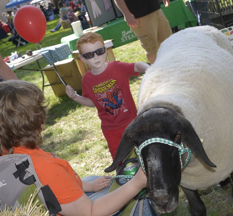 Jack Smith keeps one hand on his balloon while petting a sheep at the 4-H petting zoo Saturday during the annual Scarecrow Festival in Ottawa.