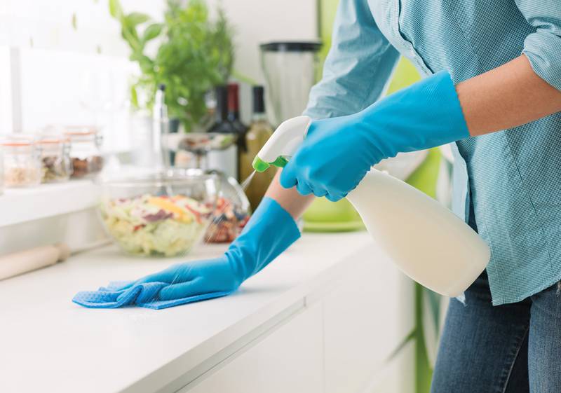 Merry Maids of Sycamore - How to Get Rid of Gnats