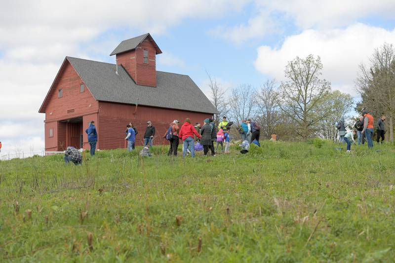 Volunteers plant native prairie plants at Peck Farm as part of Geneva’s Earth Day Celebration on Saturday, April 20, 2024.