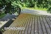 Common Places to Find Mold and Mildew on Your Roof