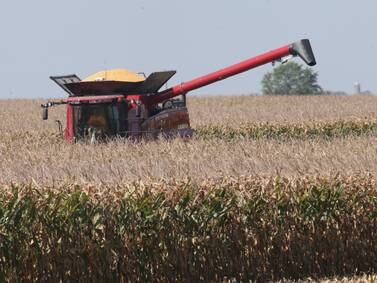 2 scholarships available from Marshall-Putnam Farm Bureau to study agriculture