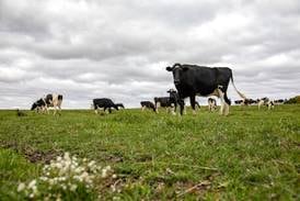 Congress advances whole milk bill