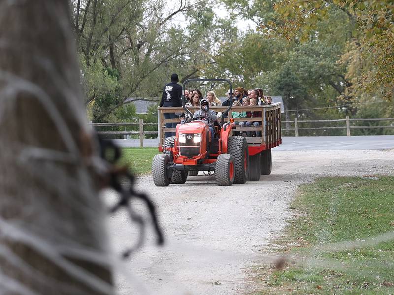 5 Things to Do in Will County: Plenty of Halloween fun this weekend!