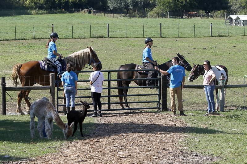 People learn about horses during a stop on the McHenry County Farm Stroll on Sunday, Sept. 28, 2025  at Hephzibah Farms in Hebron. The farm stroll, a self-guided tour of McHenry County’s family farms, featured farm tours, demonstrations and products for sale at eleven farms.