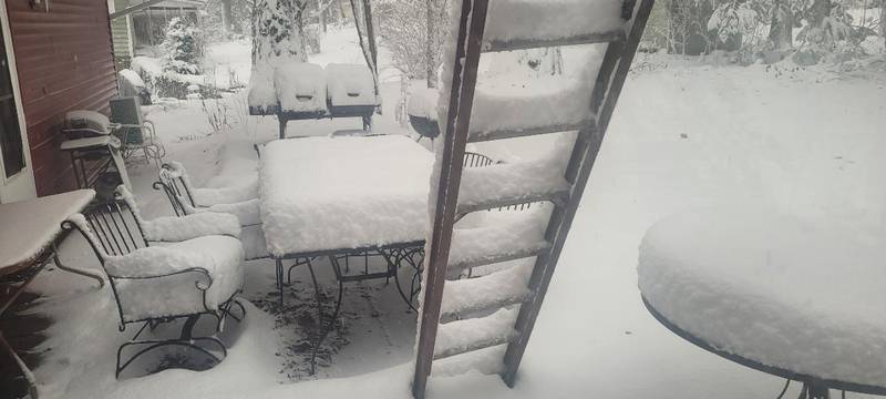 A backyard in DeKalb is covered in snow on the morning of Friday, January 12, 2024