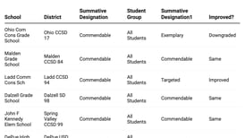 How did my Bureau County school do on the 2024 Illinois School Report Card?