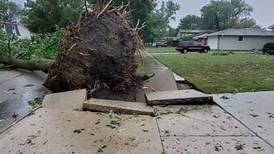 Photos: Derecho devastation on Joliet's west side