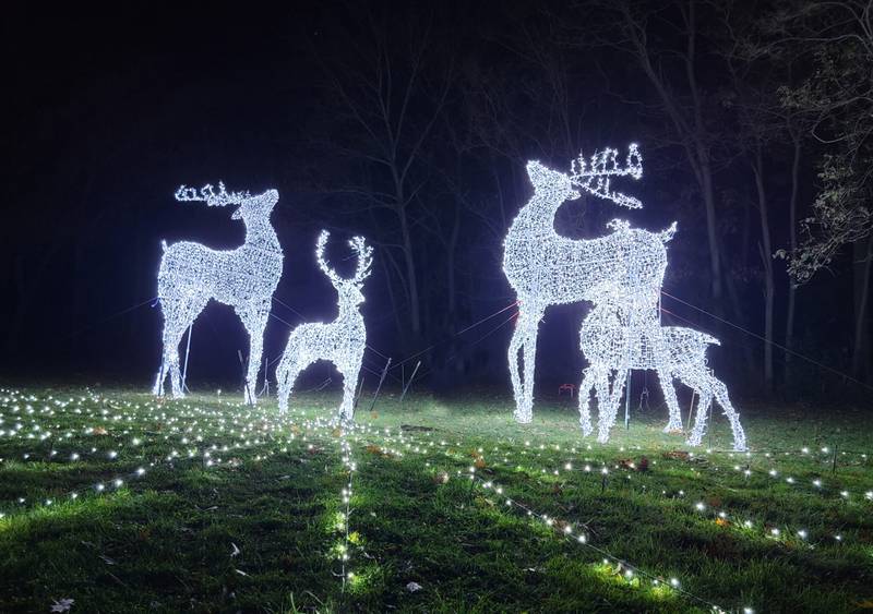 Santa’s Rock-N-Lights to offer mile-long light show, synchronized to music, in parking lot of Kane County Cougars stadium in Geneva.