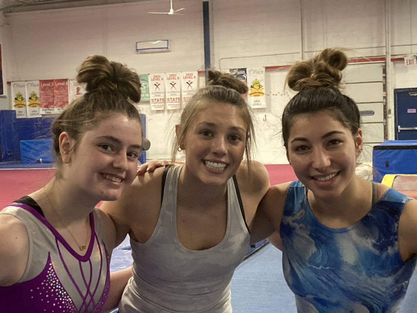 From left: Delaney Wells (Cary-Grove), Gabby Riley (C-G) and Maria Kakish (Crystal Lake Central) will be the top athletes for Prairie Ridge's co-op girls gymnastics team this season.