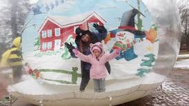 Gurnee Park District seeks input on Viking Park 