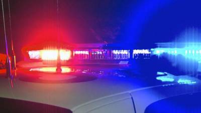 Woman found shot dead in Joliet home, suspect held