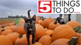 5 things to do in McHenry County: Listen to stories and stroll through farms