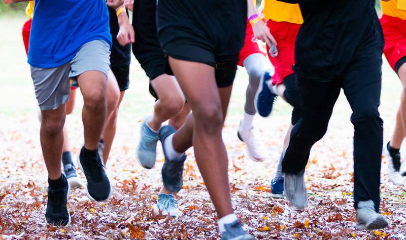 Floods Royal Flush - Running Smoothly: Support Your Fall Fun Run with Reliable Restroom Solutions