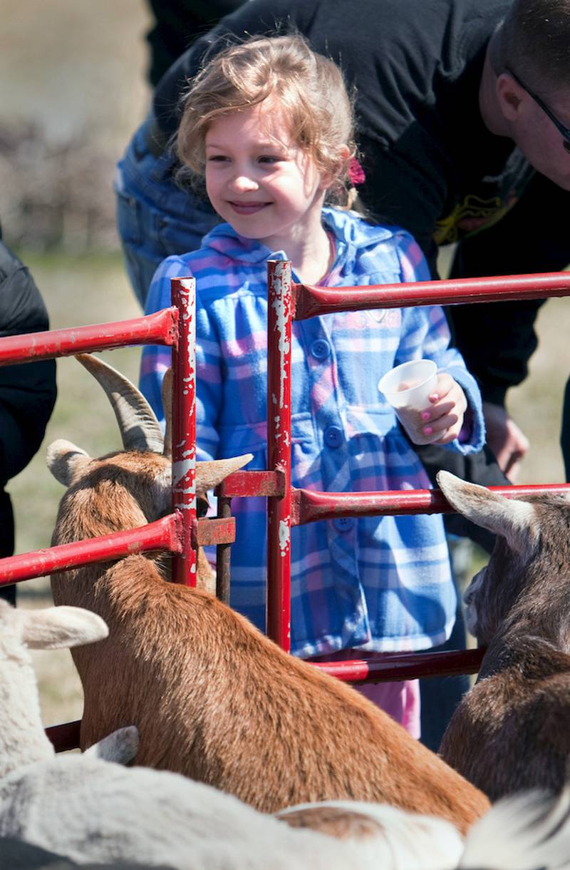 Allyson Anderson, 7, enjoys the petting zoo on April 4 at the Hippity-Hop Easter Egg Hunt at The Timbers of Shorewood retirement community in Shorewood.