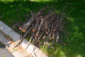 Montgomery schedules spring brush pickup