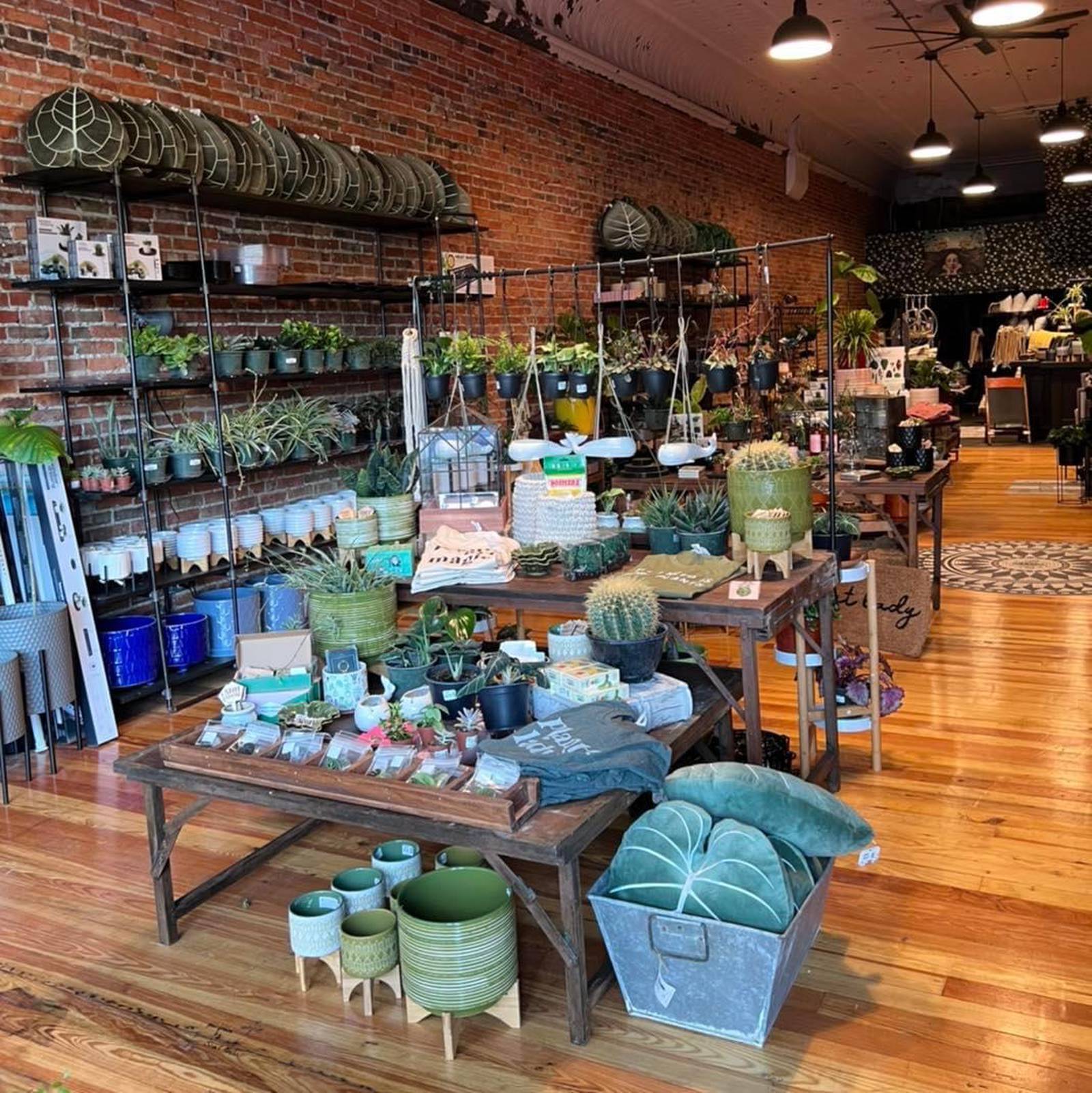 Eyes on Enterprise New house plant store opens in Ottawa Shaw Local