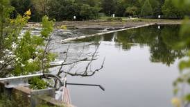 Batavia tables dam removal study, seeks more options