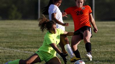 Photos: Crystal Lake Central vs. Boylan in the IHSA Class 2A Burlington Central Girls Soccer Sectional