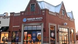 Tangled Roots now open at Arboretum of South Barrington