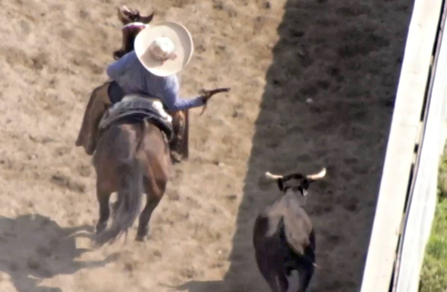 A cowboy comes away with the skin from a steer's tail after grabbing it for the rodeo. Called degloving, the skin, hair and flesh are literally torn off of the tail structure. Screenshots used with permission from SHARKonline.org