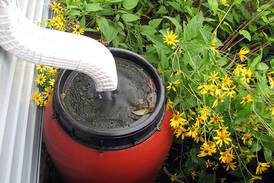 Batavia Plain Dirt Gardeners to talk rain barrels, rain gardens at May meeting