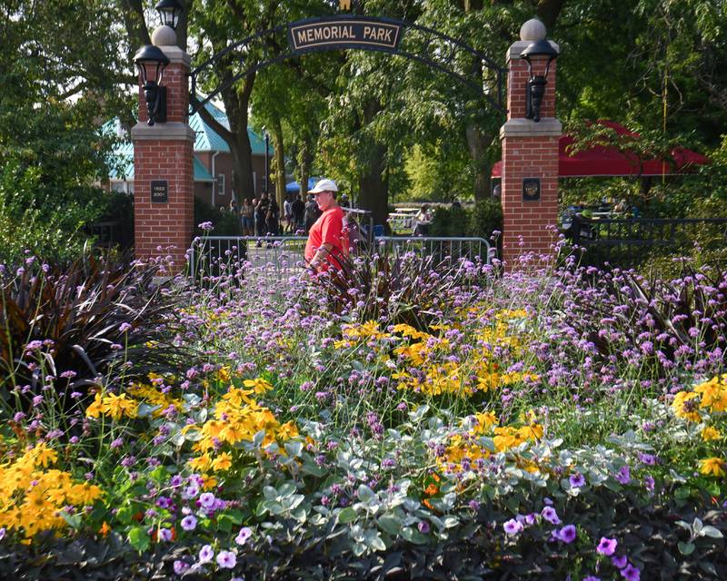 Frank Kushman of Wheaton walks to the entrance gate of Memorial Park in Wheaton for the Rocks Off: A Tribute to The Rolling Stones cover band on Friday Aug. 2, 2024.