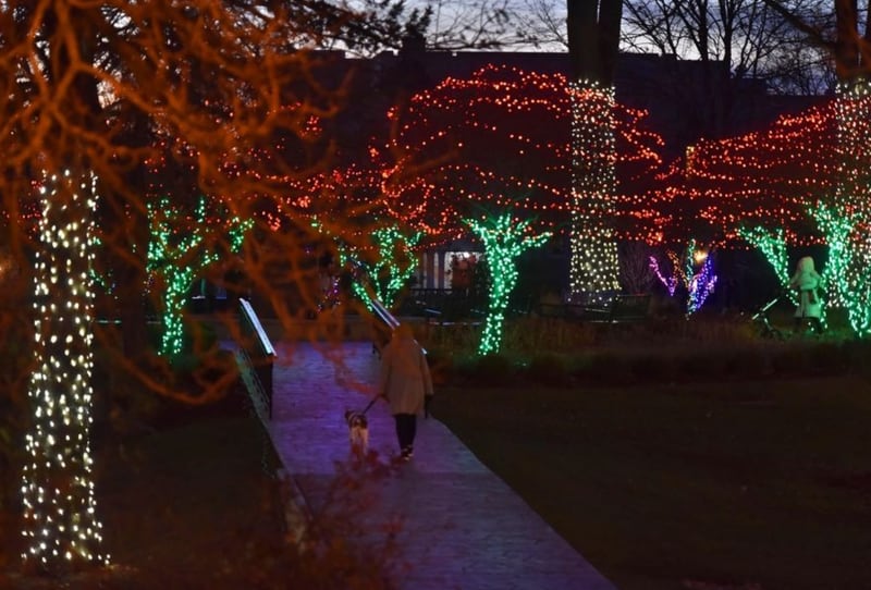 A woman and her dog walk through the holiday light display in Adams Park in downtown Wheaton. The city and the Downtown Wheaton Association will flip the switch on "Nights of Lights" Nov. 25. (John Starks | Staff Photographer, November 2020)