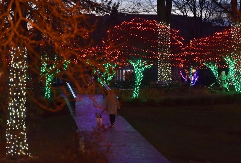 A woman and her dog walk through the holiday light display in Adams Park in downtown Wheaton. The city and the Downtown Wheaton Association will flip the switch on "Nights of Lights" Nov. 25. (John Starks | Staff Photographer, November 2020)