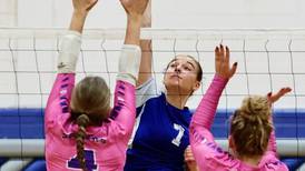Princeton enjoys senior night success against Mendota  