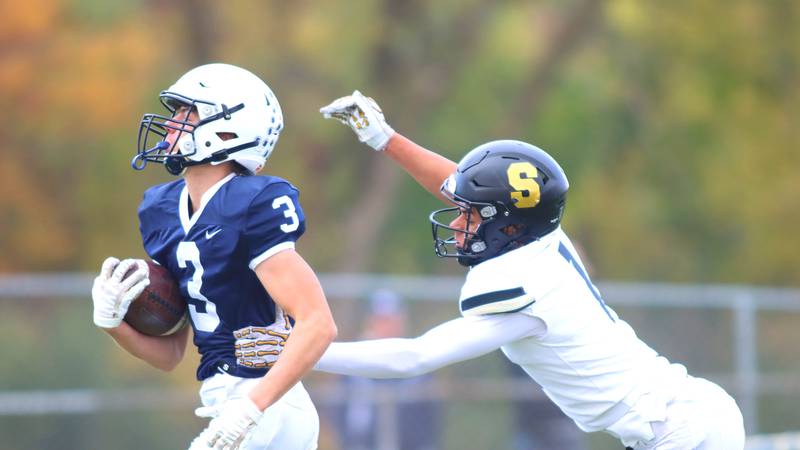 Roxana IHSA proposal releases mock-ups for 5A-6A schools