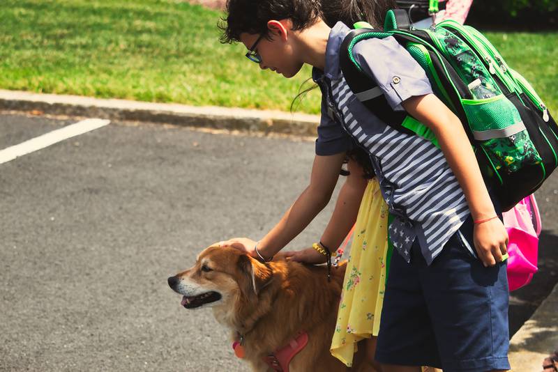 All Creatures Great & Small - Ensure a Smooth Back-to-School Transition for Your Furry Friend