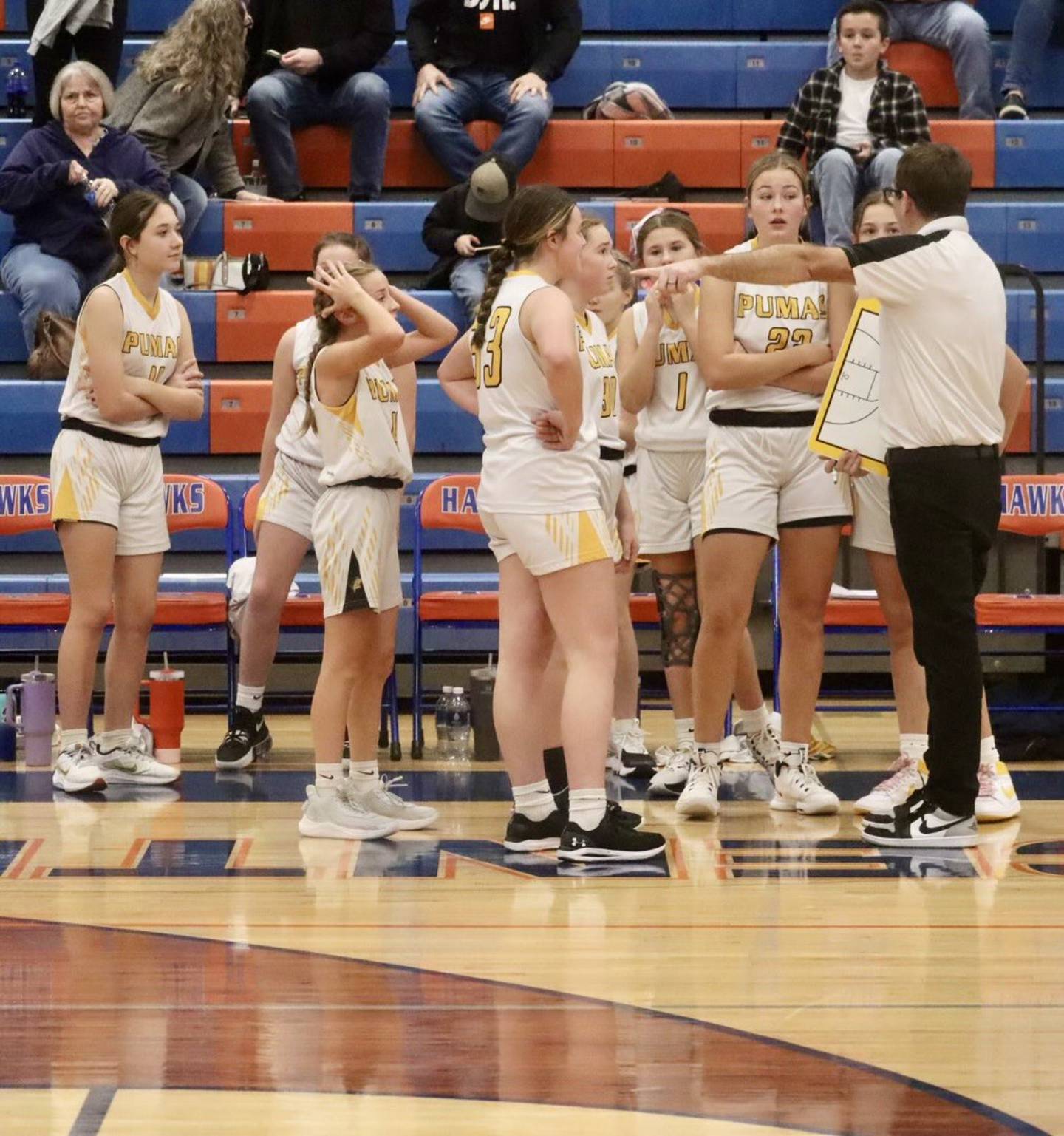 PC coach Nick Heuser talks with his  team at state. The Pumas will play Mt. Pulaski at 6 p.m. Thursday for third place at Riverton.