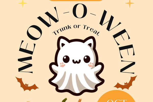 Sunrise Center Animal Rescue in need of trunk or treat participants