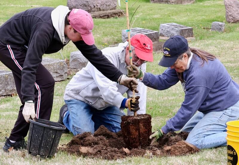 Volunteers plant 100 trees Saturday, April 19, 2025, at Oakwood Cemetery in Princeton during an event coordinated by the Princeton Tree Board.