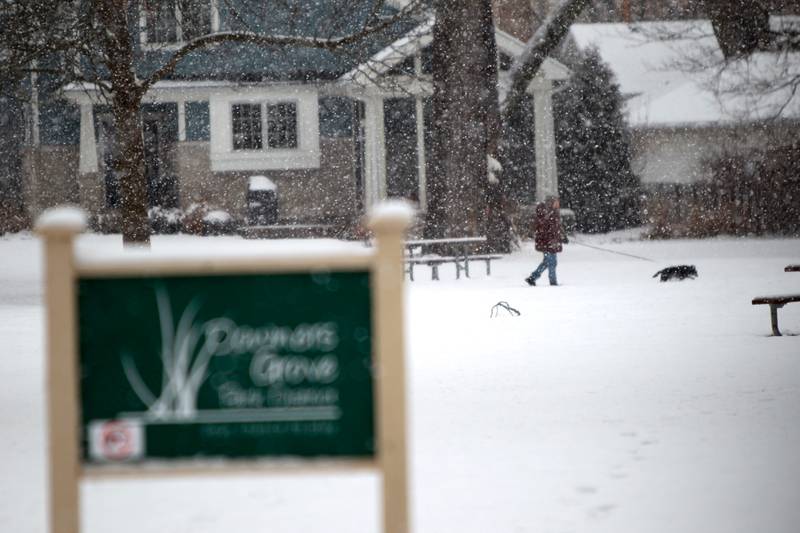 Snow falls in Downers Grove on Tuesday, Jan. 9, 2024.